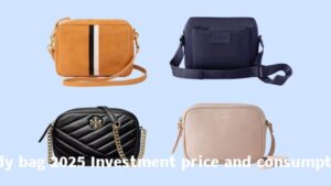 mens crossbody bag 2025 Investment price and consumption trend