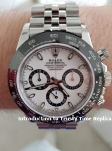Introduction to Trusty Time Replica